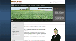 Desktop Screenshot of marubeni.co.in